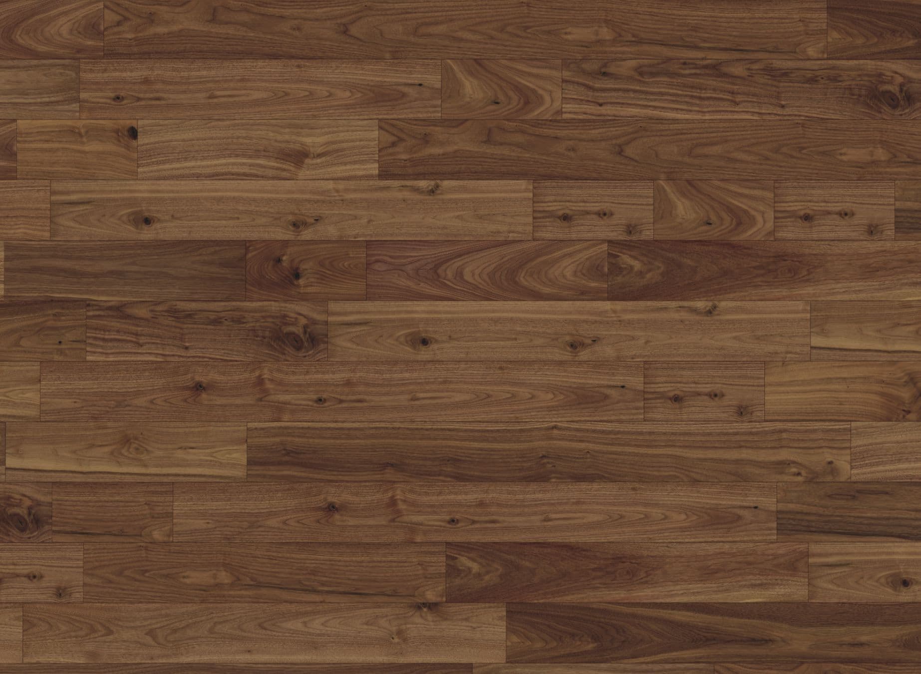 American Black Walnut 127 Strata 14