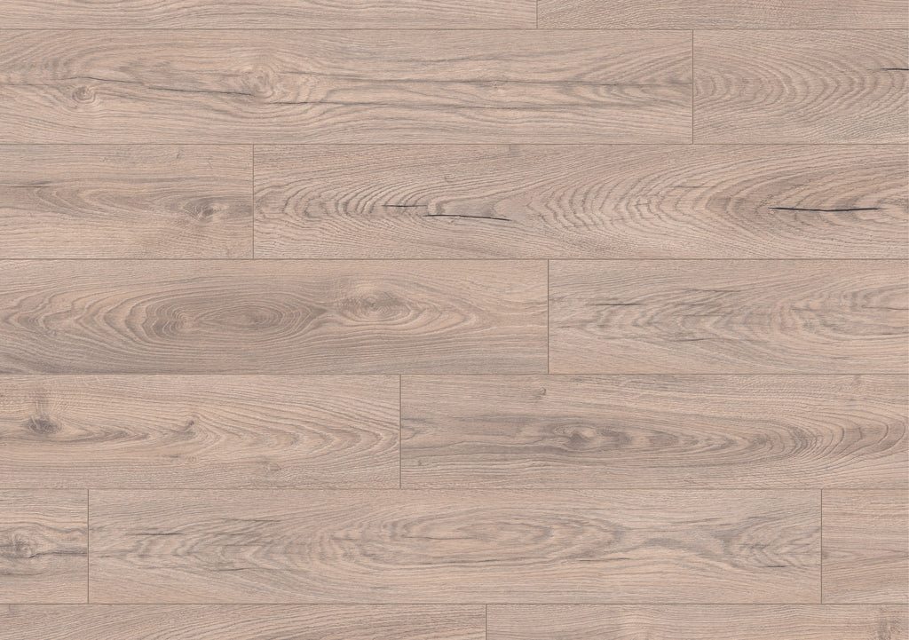 10mm Mushroom Carpenter Oak
