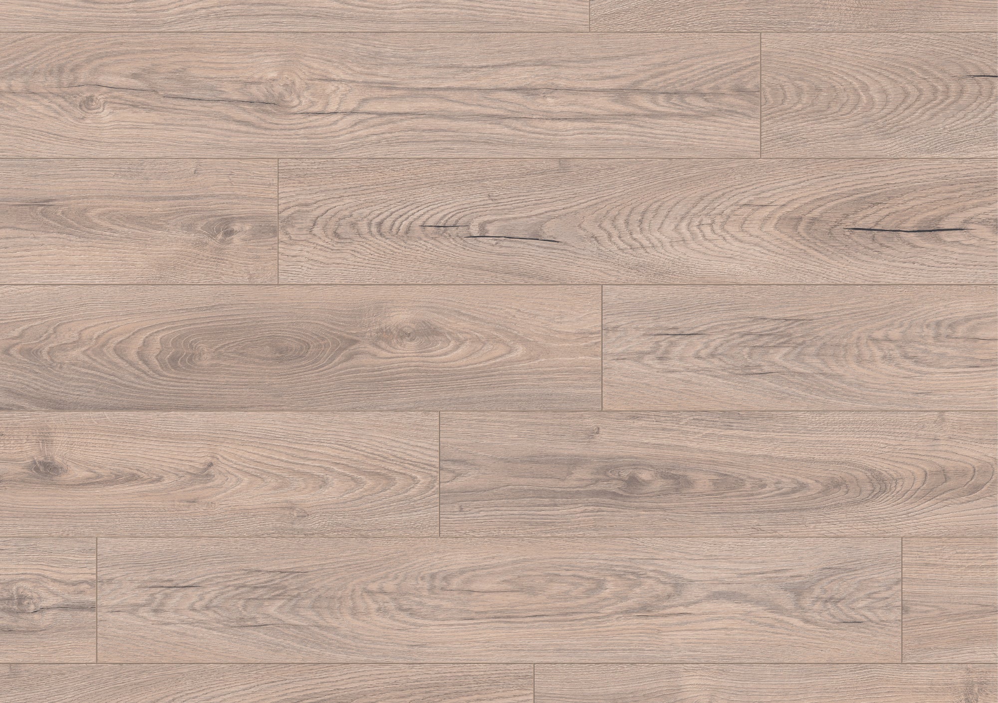 10mm Mushroom Carpenter Oak