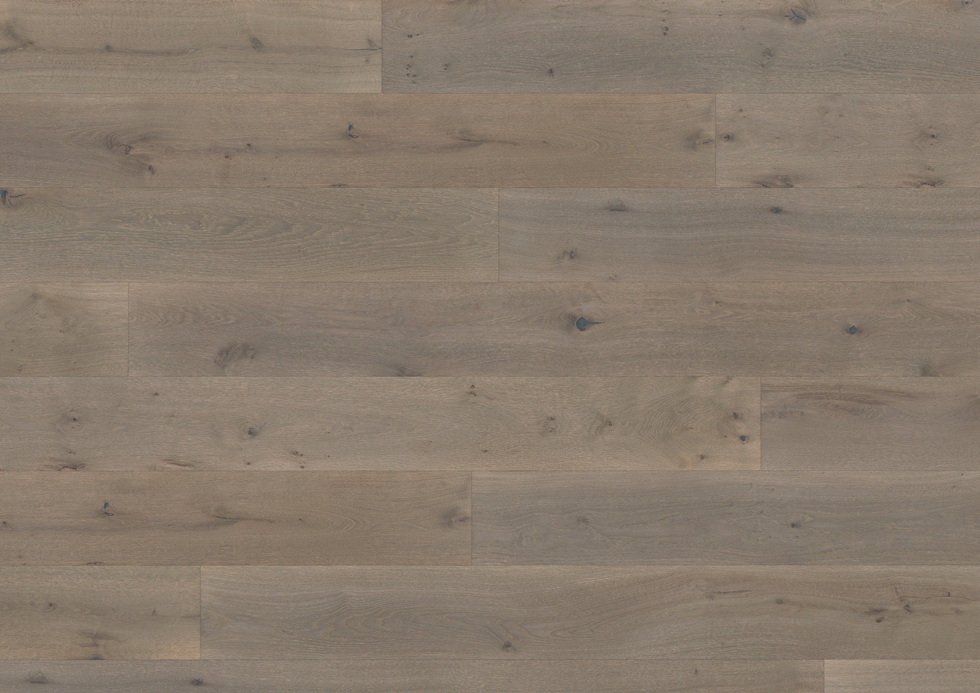 St Kitts Oak Sienna