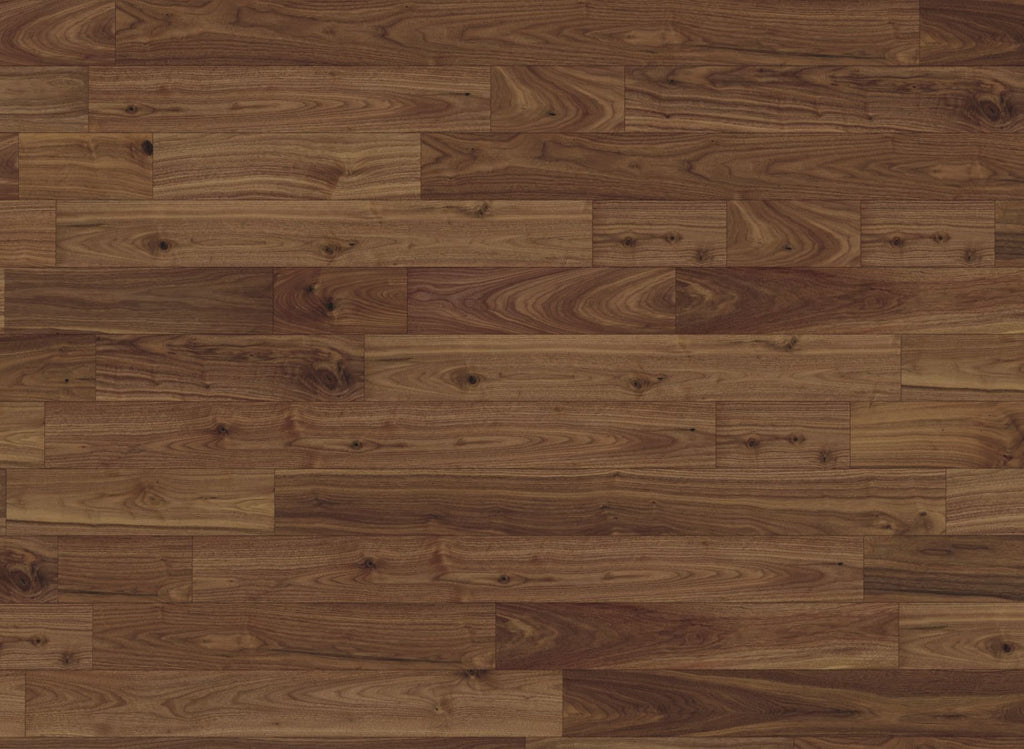 American Black Walnut 127 Strata 14