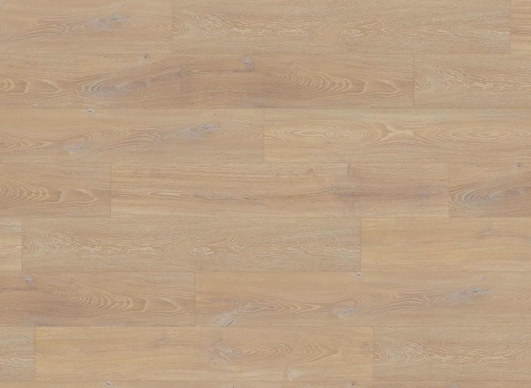 Desert Oak Premium