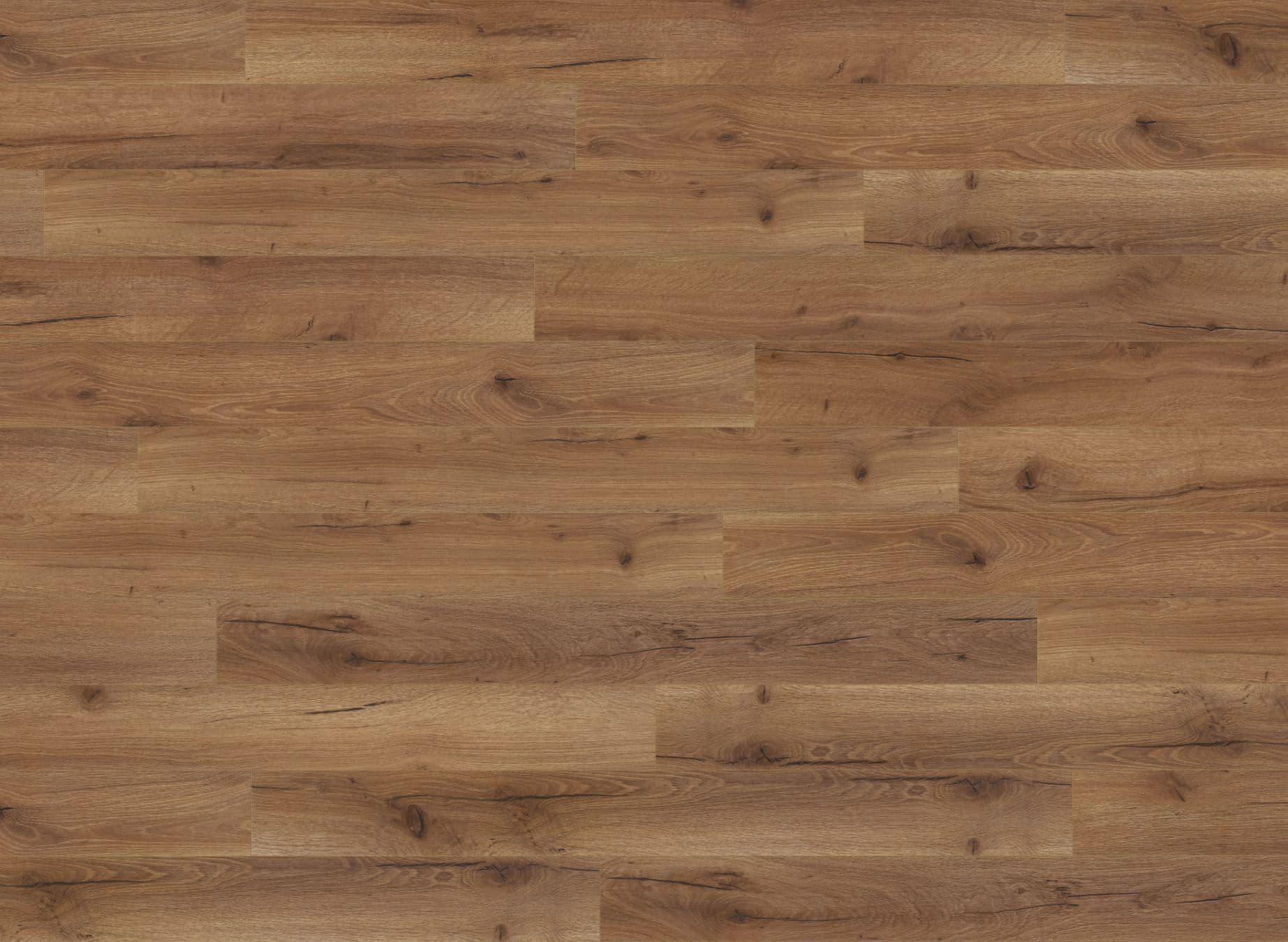 Junior Oak Robust Fumed Premium