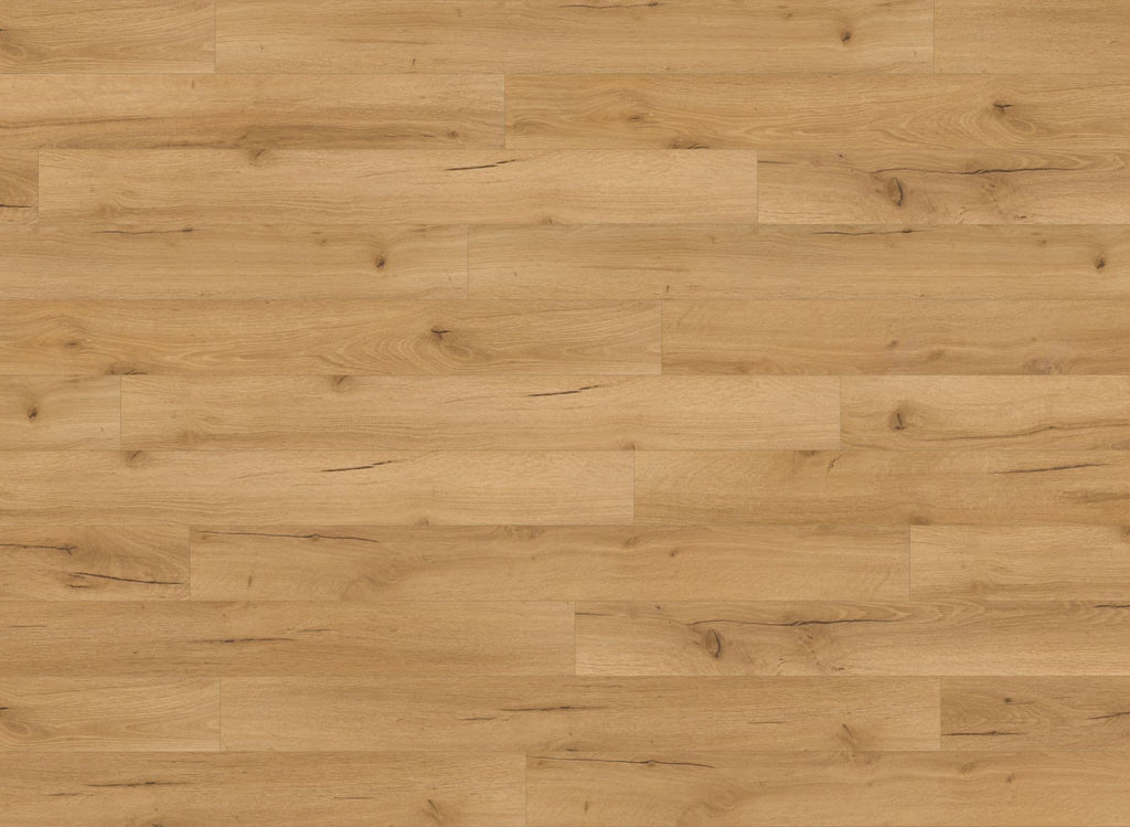 Junior Oak Robust Natural Premium