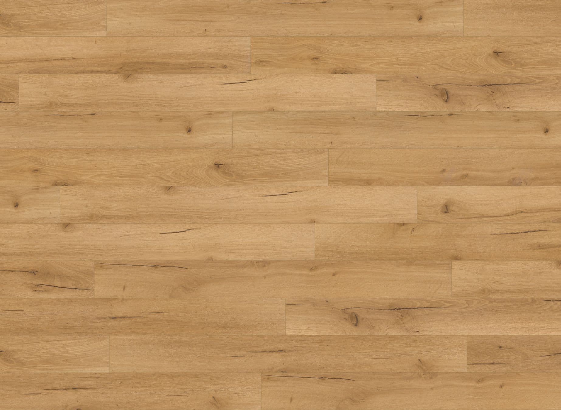 Junior Oak Robust Natural Premium
