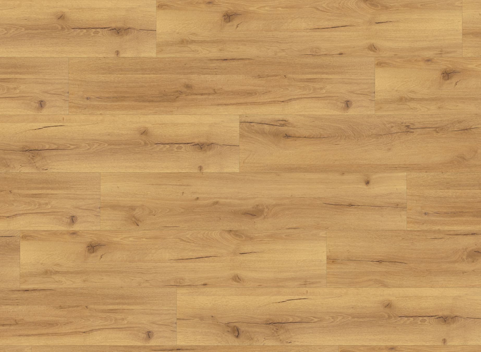 Senior Oak Robust Natural Premium